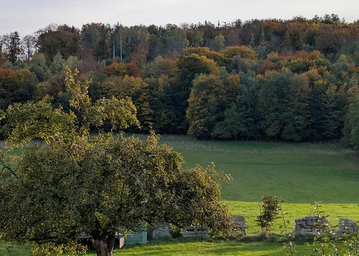 Auszeit Im Bauwagen Arnsdorf (Doberschau-Gaussig, Bautzen)